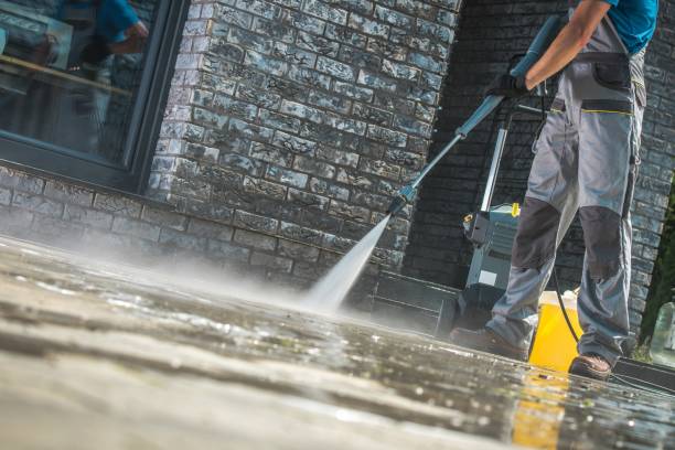Best Fence Cleaning and Maintenance in Wills Point, TX